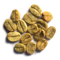 Grains de café en phase de séchage