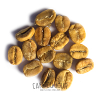 Grains de café en phase jaune