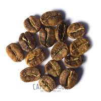 Grains de café en phase jaune/brun